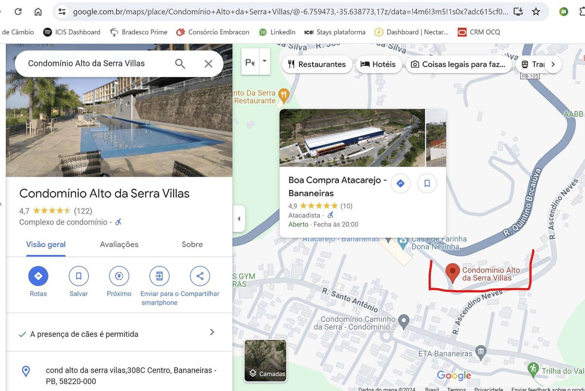 Dos Sonhos * Bananeiras
